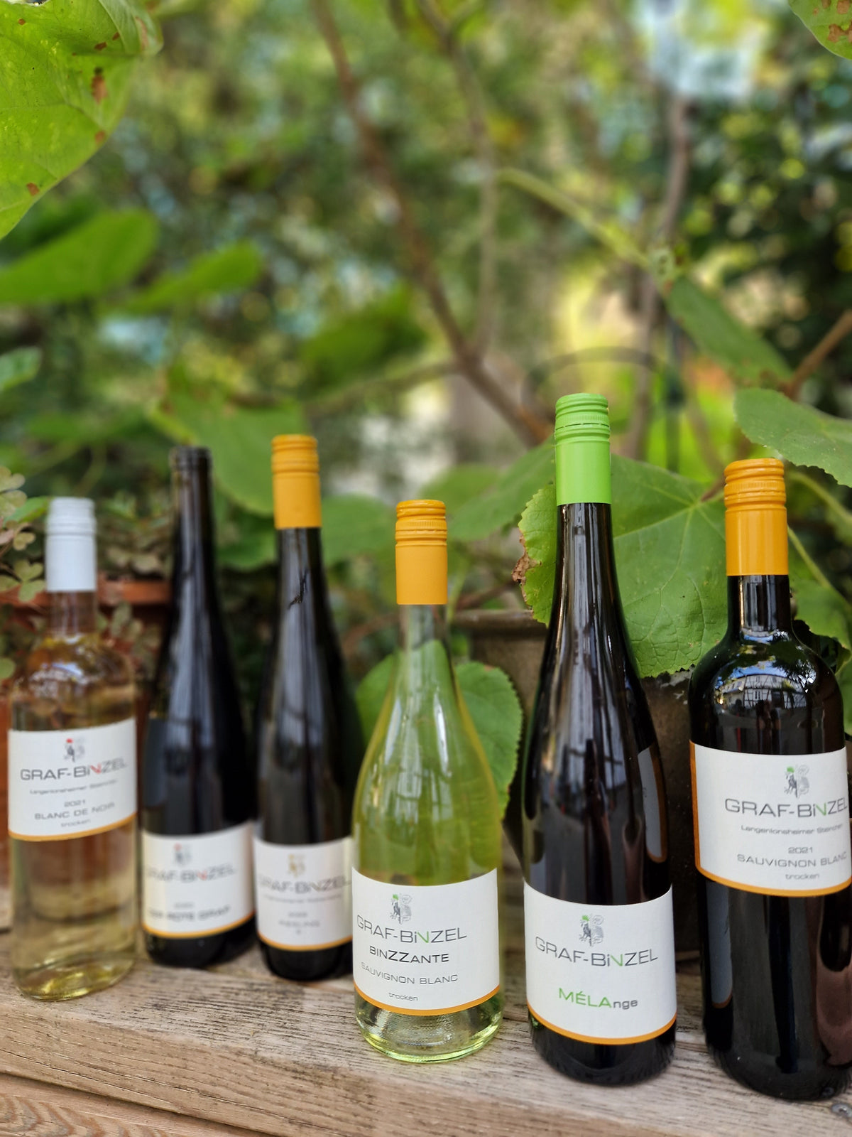 Probierpaket Riesling